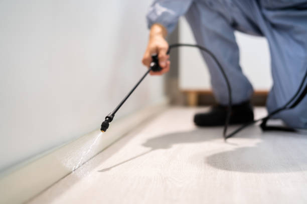 Licensed Pest Control service in Powers Lake, WI - Show Me Pest Control