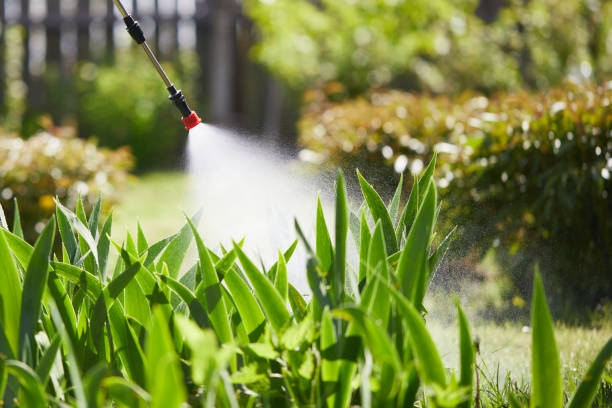 Void Injection for Cockroach Colonies in Powers Lake