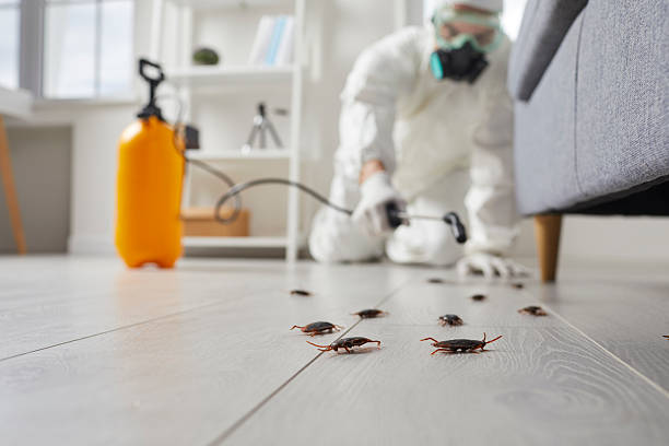 Commercial Kitchen Cockroach Control in Powers Lake